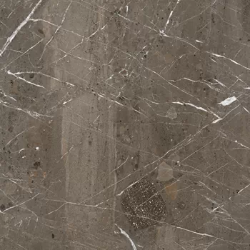 Фото Керамогранит Imola Ceramica BREIMP6 120 RM 120x120 Италия