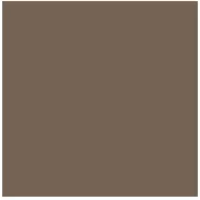 Фото Керамогранит Top Cer L4429-1Ch Coffee Brown - Loose 10х10