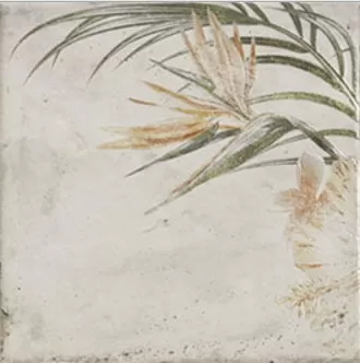 Фото Плитка Tahiti white 20x20 Испания