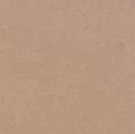 Фото Керамогранит Top Cer L4404-1Ch Caramel - Loose 10х10 Португалия