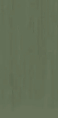 Фото Керамогранит Mega Tile TC Light Green Mat 60x120 Индия