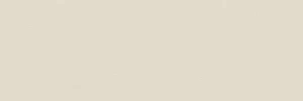 Фото Керамогранит Tau Ceramica Tornares Hiru White Rec 16.3x51.7 Испания