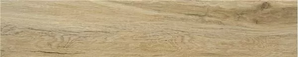 Фото Керамогранит STN Ceramica CAH4BLA7LDAA Blaze Roble Matt 23x120 Испания