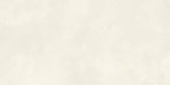 Фото Керамогранит Imola Ceramica RTN6 NEVE12 RM 60x120 Италия