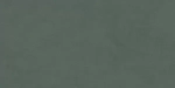 Фото Керамогранит DD507420R Про Чементо зеленый темный матовый обрезной 60x119,5 Россия