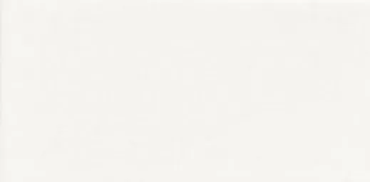 Фото Плитка Plus Bissel Blanco Liso Brillo 10X20 (PT01946) Испания