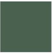 Фото Керамогранит Top Cer L4418-1Ch Green - Loose 10х10