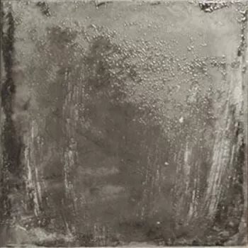 Фото Плитка PT02992 VENEZZIA NERO 20*20 Испания