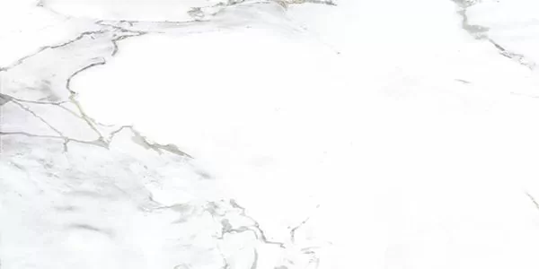 Фото Керамогранит Monster White 60X120 (78801605) Индия