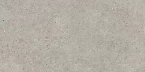 Фото Керамогранит SG519920R Риккарди серый светлый матовый обрезной 60х119,5 Россия