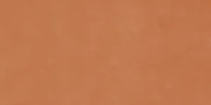 Фото Керамогранит Imola Ceramica RTN6 ARANC12 RM 60x120 Италия