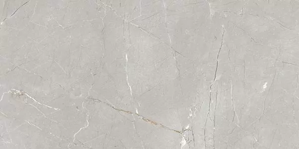 Фото Керамогранит Larice Grey 60X120 (78801644) Индия