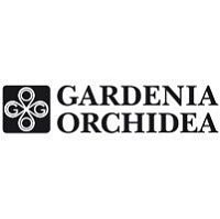 Gardenia Orchidea