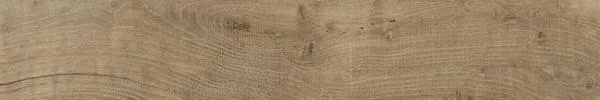 Фото Керамогранит Ragno Marazzi RDCC Nodis Natural RT 20x120 Италия