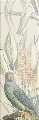 Фото Плитка Tapis Jungle 10х30 Испания