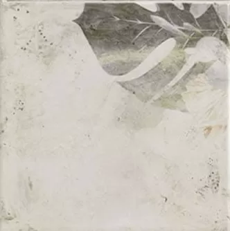 Фото Плитка Tahiti white 20x20 Испания