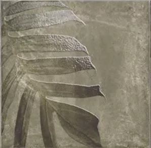 Фото Плитка Tahiti natural 20x20 Испания