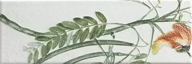 Фото Плитка Tapis Eden 10х30 Испания