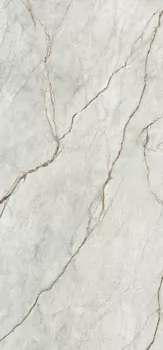 Фото Керамогранит Imola Ceramica GRE RO6 278 LP 120x278 Италия