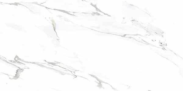 Фото Керамогранит Monster White 60X120 (78801605) Индия