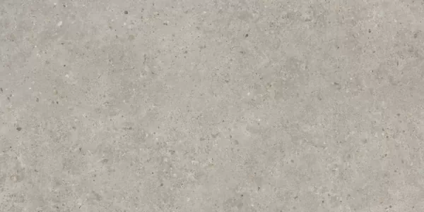 Фото Керамогранит SG519920R Риккарди серый светлый матовый обрезной 60х119,5 Россия