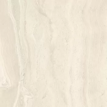 Фото Керамогранит Imola Ceramica TRARGE6 60 RM 60x60 Италия