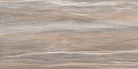 Фото Плитка Esprit Wood 250x500x9 (WT9ESR21)