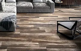 Коллекция Shine Cerdomus