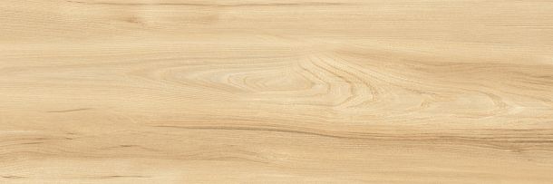 Фото Плитка Woodstyle Elm 300x900x10,5 (WT93WOS11) Беларусь