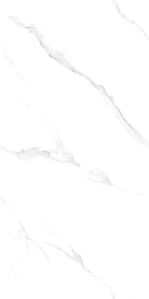 Фото Керамогранит Protiles PT12J906 Snow Marble Carving 1200х600х9 Узбекистан