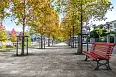 Керамогранит Imola Ceramica MXST GRE18 23 20x30
