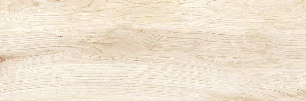 Фото Плитка Canyon Wood 246x740 (WT15CAC08R) Россия