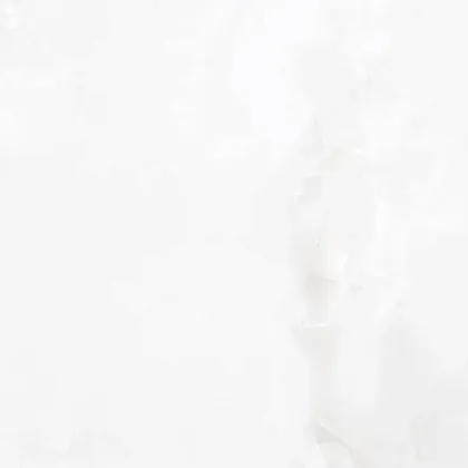 Фото Керамогранит Laparet Onyx Blanco Pro Светло-Серый Матовый R11Soft 60Х60 Индия