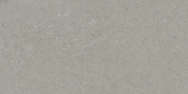 Фото Керамогранит Tau Ceramica Calcare Silver 60x120 Испания