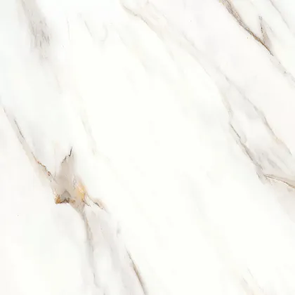 Фото Керамогранит Escaped Полированный 80х80 Индия