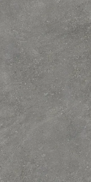Фото Керамогранит Protiles PT12F7047 Pietra Grey Matt 1200х600х9 Узбекистан
