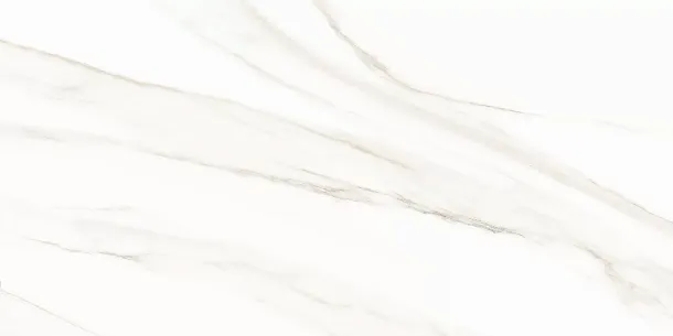 Фото Плитка WT9ESR00 Esprit Calacatta 250*500*9 Россия
