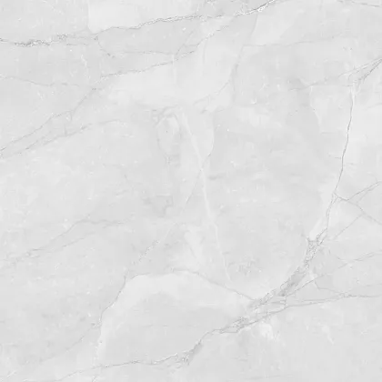 Фото Керамогранит Laparet LP6060G0241R Berna Silver светло-серый матовый 59,5х59,5 Россия