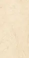 Керамогранит Protiles PT12J7074 Marmo Beige Матовая Карвинг 1200х600х9