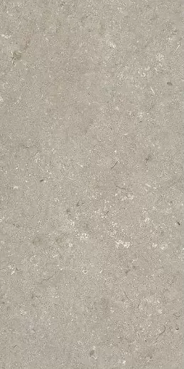 Фото Керамогранит Dado Ceramica 005468 Shellstone Taupe 60x120 Италия