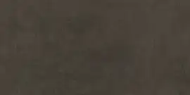 Фото Керамогранит DD592820R Про Фьюче коричневый обрезной 60x119.5