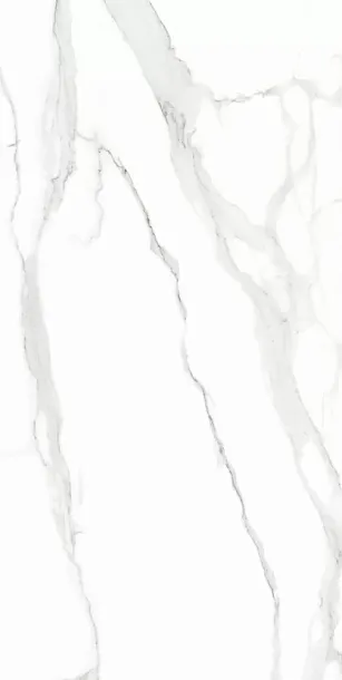 Фото Керамогранит Statuario 80x160 Индия