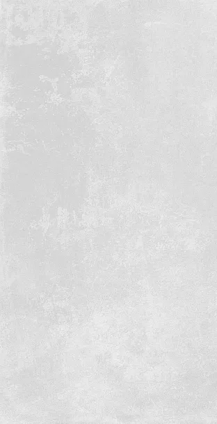 Фото Керамогранит Azulev Organic Grey RC 60x120 Испания