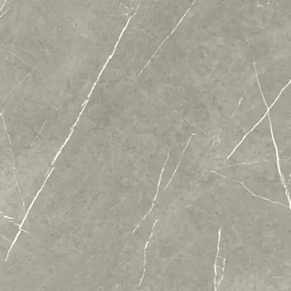 Фото Керамогранит Eternal Taupe Natural 60x60 Испания