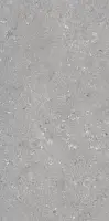 Фото Керамогранит Dado Ceramica 005485 Shellstone Grigio 60x120