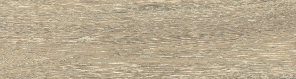 Фото Керамогранит DW02 Dream Wood Latte Неполированный 14,6x60x8 Россия