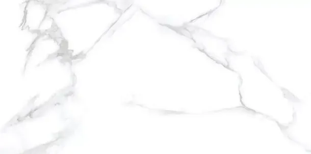 Фото Керамогранит Unica Statuario Chic Polished 60x120 (N20531) Индия