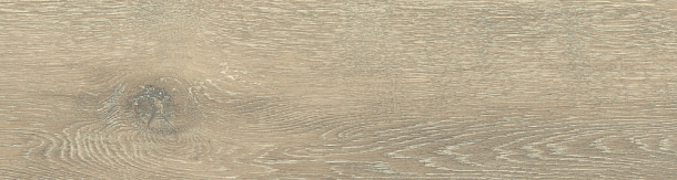 Фото Керамогранит DW02 Dream Wood Latte Неполированный 14,6x60x8 Россия