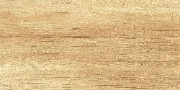 Фото Плитка Paradise Wood 250x500x9 (WT9OAS31) Россия
