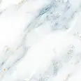 Керамогранит Eternal ETACN1221GL6060 White Storm Glossy 60x60